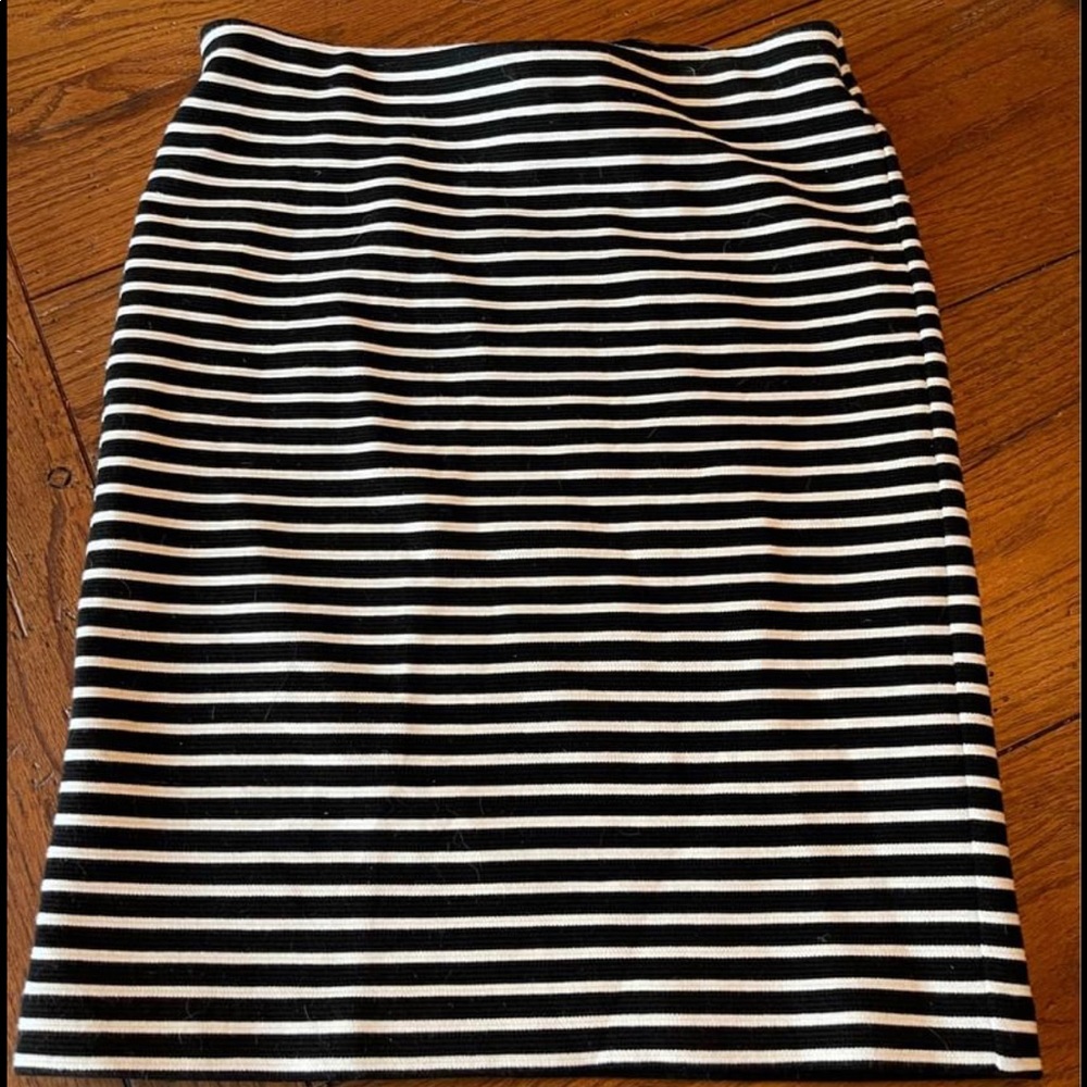 NWT Loft Pencil Skirt